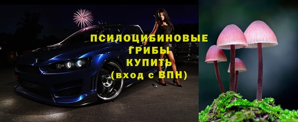 молекула духа Новокубанск
