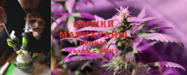 стафф Новодвинск