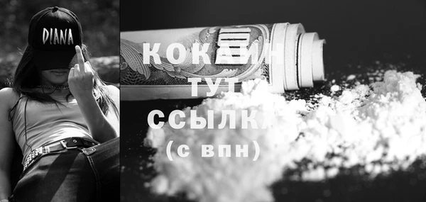 стафф Новодвинск