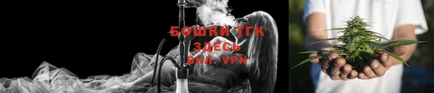стафф Новодвинск