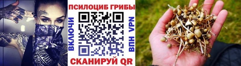 Галлюциногенные грибы Cubensis  купить  сайты  Муром 